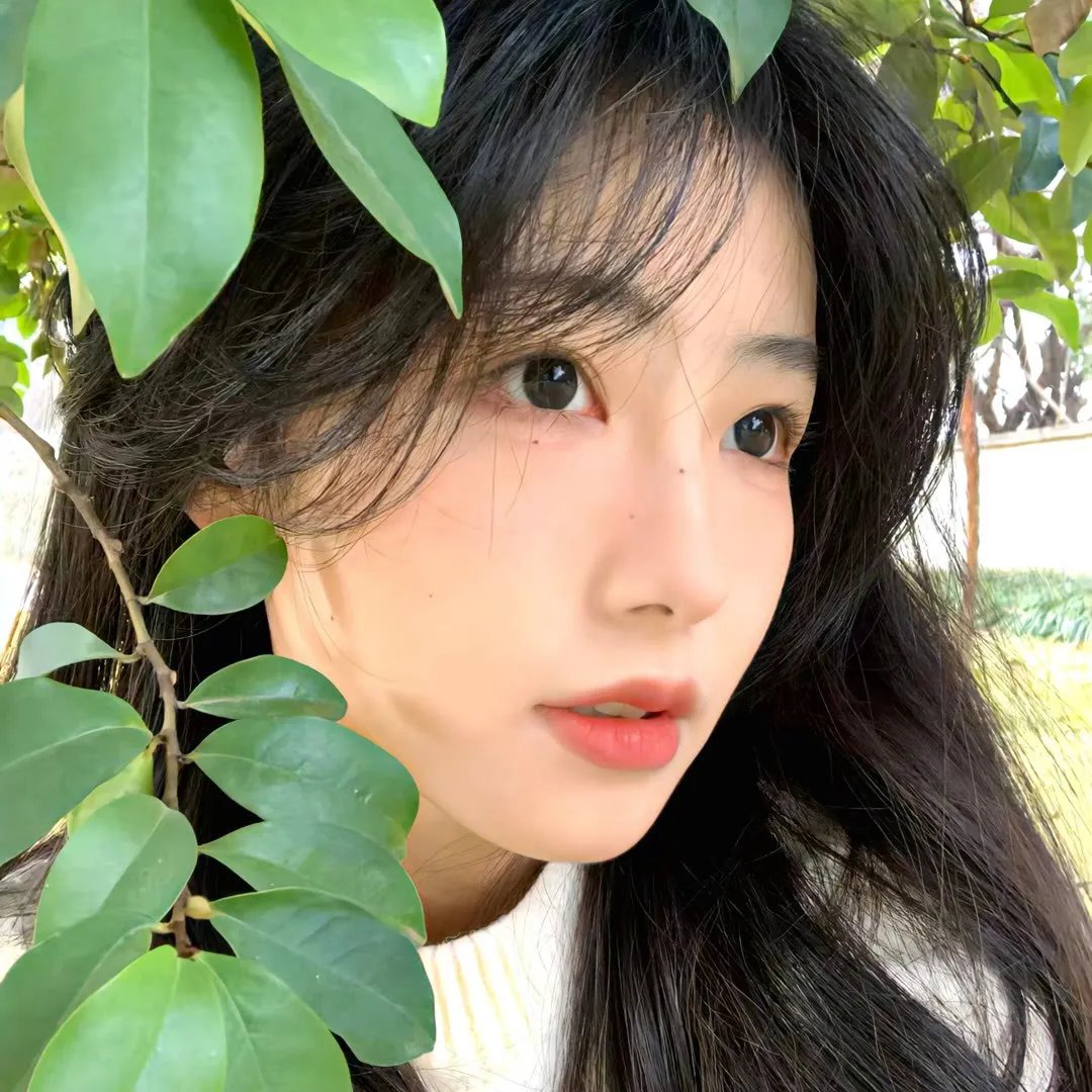 壳